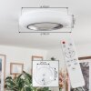 Dayen Plafondlamp LED Zilver, Wit, 1-licht, Afstandsbediening