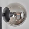 Chehalis Kogellampje, Wandlamp Rookkleurig, 3-lichts