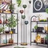 Koyoto Staande lamp Hout donker, Zwart, 4-lichts