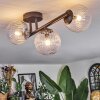 Chehalis Plafondlamp, Kogellampje Duidelijk, 3-lichts
