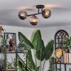 Chehalis Plafondlamp, Kogellampje Rookkleurig, 3-lichts