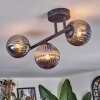 Chehalis Plafondlamp, Kogellampje Rookkleurig, 3-lichts