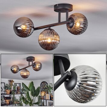 Chehalis Plafondlamp, Kogellampje Rookkleurig, 3-lichts