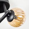 Chehalis Plafondlamp, Kogellampje Amber, 3-lichts