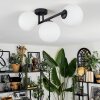 Chehalis Plafondlamp, Kogellampje Wit, 3-lichts