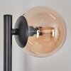 Chehalis Kogellampje, Wandlamp Amber, Rookkleurig, 3-lichts