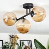 Chehalis Plafondlamp, Kogellampje Amber, 3-lichts