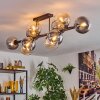 Gastor Plafondlamp, Kogellampje Amber, Duidelijk, Rookkleurig, 10-lichts
