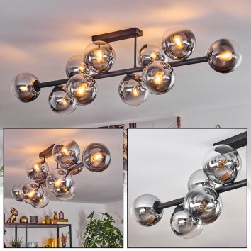 Gastor Plafondlamp, Kogellampje Chroom, Duidelijk, Rookkleurig, 10-lichts