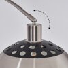 Baloca Staande lamp Nikkel mat, Zwart, 1-licht