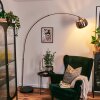 Baloca Staande lamp Nikkel mat, Zwart, 1-licht