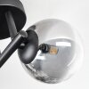 Chehalis Plafondlamp, Kogellampje Duidelijk, Rookkleurig, 3-lichts