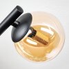 Chehalis Plafondlamp, Kogellampje Amber, 3-lichts