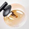 Chehalis Plafondlamp, Kogellampje Amber, Duidelijk, 3-lichts