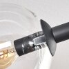 Gastor Plafondlamp, Kogellampje Duidelijk, 6-lichts