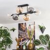 Gastor Plafondlamp, Kogellampje Amber, Duidelijk, Rookkleurig, 6-lichts