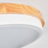 Hiral Plafondlamp, Paneel LED Natuurlijke kleuren, Wit, 1-licht