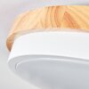 Hiral Plafondlamp, Paneel LED Natuurlijke kleuren, Wit, 1-licht