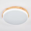 Hiral Plafondlamp, Paneel LED Natuurlijke kleuren, Wit, 1-licht