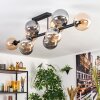 Gastor Plafondlamp, Kogellampje Amber, Rookkleurig, 10-lichts
