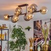 Gastor Plafondlamp, Kogellampje Amber, Rookkleurig, 10-lichts