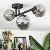 Chehalis Plafondlamp, Kogellampje Rookkleurig, 3-lichts