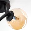 Chehalis Plafondlamp, Kogellampje Amber, 3-lichts