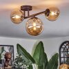 Chehalis Plafondlamp, Kogellampje Amber, 3-lichts