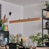 Fugelsta Hanglamp, Hanglamp LED Zwart, 1-licht