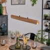 Fugelsta Hanglamp, Hanglamp LED Zwart, 1-licht