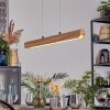 Fugelsta Hanglamp, Hanglamp LED Zwart, 1-licht