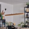 Fugelsta Hanglamp, Hanglamp LED Zwart, 1-licht
