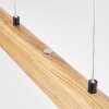 Fugelsta Hanglamp, Hanglamp LED Zwart, 1-licht
