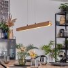 Fugelsta Hanglamp, Hanglamp LED Zwart, 1-licht