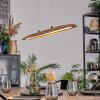 Fugelsta Hanglamp, Hanglamp LED Zwart, 1-licht