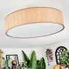 Foggia Plafondlamp Nikkel mat, 3-lichts