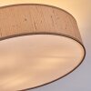 Foggia Plafondlamp Nikkel mat, 3-lichts