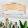 Foggia Plafondlamp Nikkel mat, 3-lichts