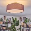 Foggia Plafondlamp Nikkel mat, 3-lichts