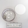 Foggia Plafondlamp Nikkel mat, 3-lichts