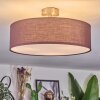 Foggia Plafondlamp Nikkel mat, 3-lichts
