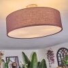 Foggia Plafondlamp Nikkel mat, 3-lichts