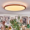 Nogueira Plafondlamp, Paneel LED Natuurlijke kleuren, Wit, 1-licht, Afstandsbediening