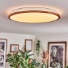 Nogueira Plafondlamp, Paneel LED Natuurlijke kleuren, Wit, 1-licht, Afstandsbediening