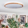 Nogueira Plafondlamp, Paneel LED Natuurlijke kleuren, Wit, 1-licht, Afstandsbediening