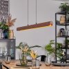Fugelsta Hanglamp, Hanglamp LED Zwart, 1-licht