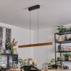 Fugelsta Hanglamp, Hanglamp LED Zwart, 1-licht