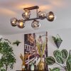 Gastor Plafondlamp, Kogellampje Chroom, Duidelijk, Rookkleurig, 6-lichts