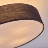 Foggia Plafondlamp Nikkel mat, 3-lichts