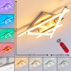 Eriz Plafondlamp LED Nikkel mat, 4-lichts, Afstandsbediening, Kleurwisselaar